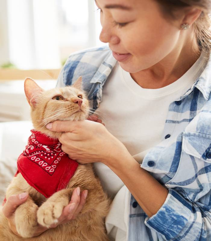 Boarding for Dogs and Cats