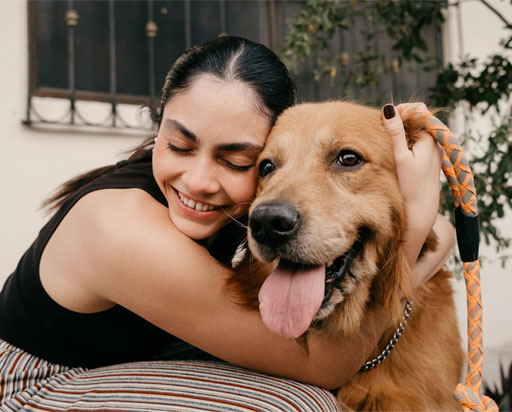 A brown dog being hugged by a girl
