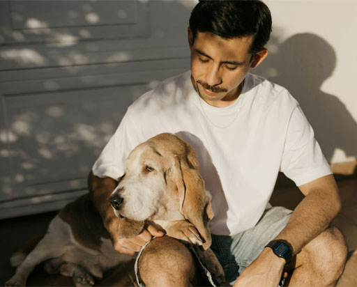 An old dog sitting with its owner.